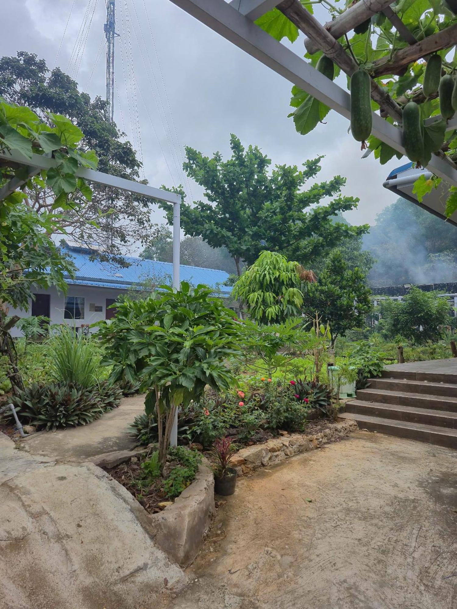 Bungalow Hotel Chi Khu Co Ong Екстер'єр фото